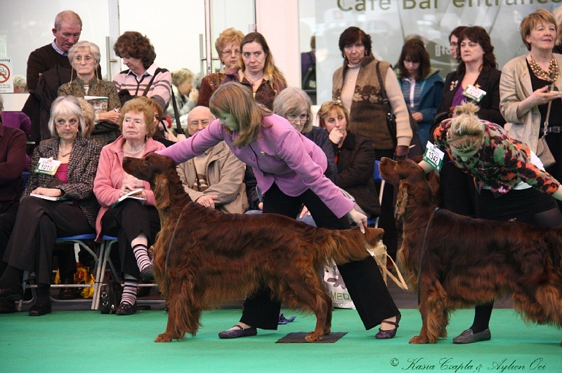 Crufts2011 732.jpg